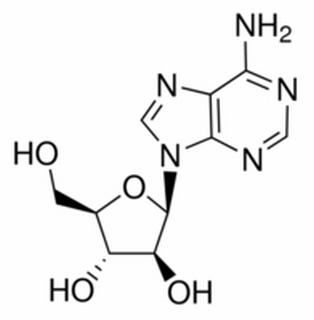 植物激素及核酸类
