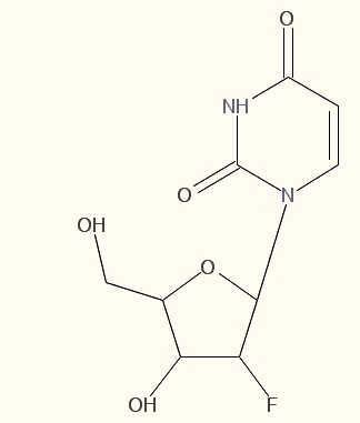 植物激素及核酸类
