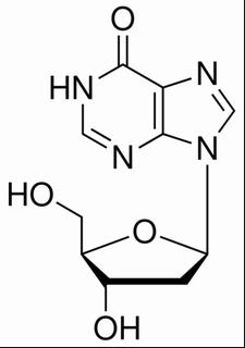 植物激素及核酸类