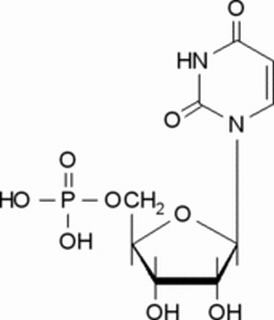 植物激素及核酸类