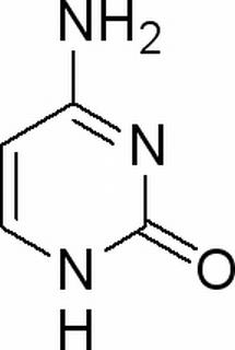 植物激素及核酸类