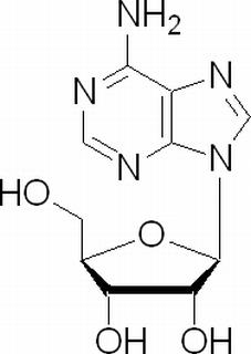 植物激素及核酸类