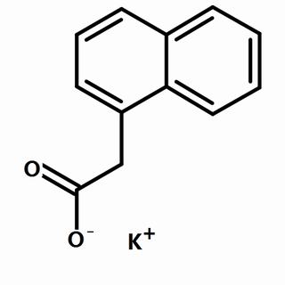 植物激素及核酸类