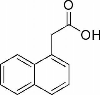 植物激素及核酸类