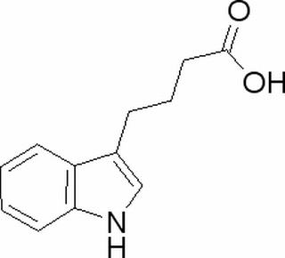 植物激素及核酸类
