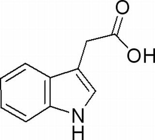 植物激素及核酸类
