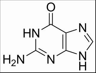 植物激素及核酸类