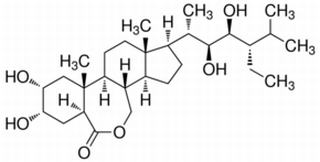 植物激素及核酸类