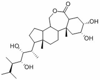 植物激素及核酸类