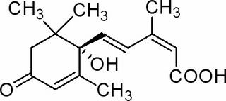 植物激素及核酸类
