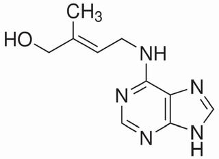 植物激素及核酸类