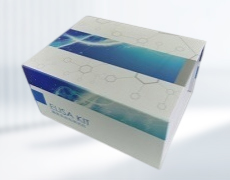 己糖激酶(HK)测试盒(微量法/96样)