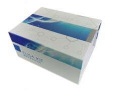 血钙浓度检测试剂盒/微量法