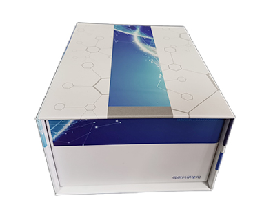 NADP磷酸酶（NADPase）测试盒