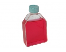 特殊定制基础培养基