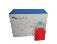 HIT-T15细胞专用培养基