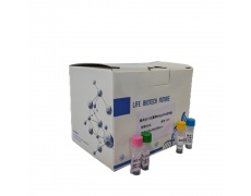 鸡包涵体肝炎病毒病毒PCR试剂盒