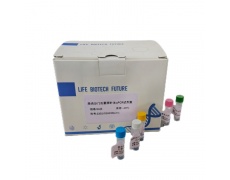 本迪布焦型埃博拉病毒RT-PCR试剂盒