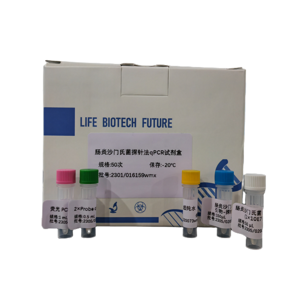 丙型肝炎病毒5型RT-PCR试剂盒
