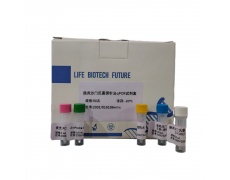 黄热病病毒疫苗株17D RT-PCR试剂盒