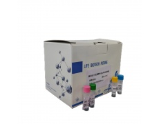 PCR检测试剂盒