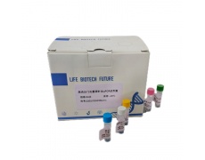 PCR检测试剂盒