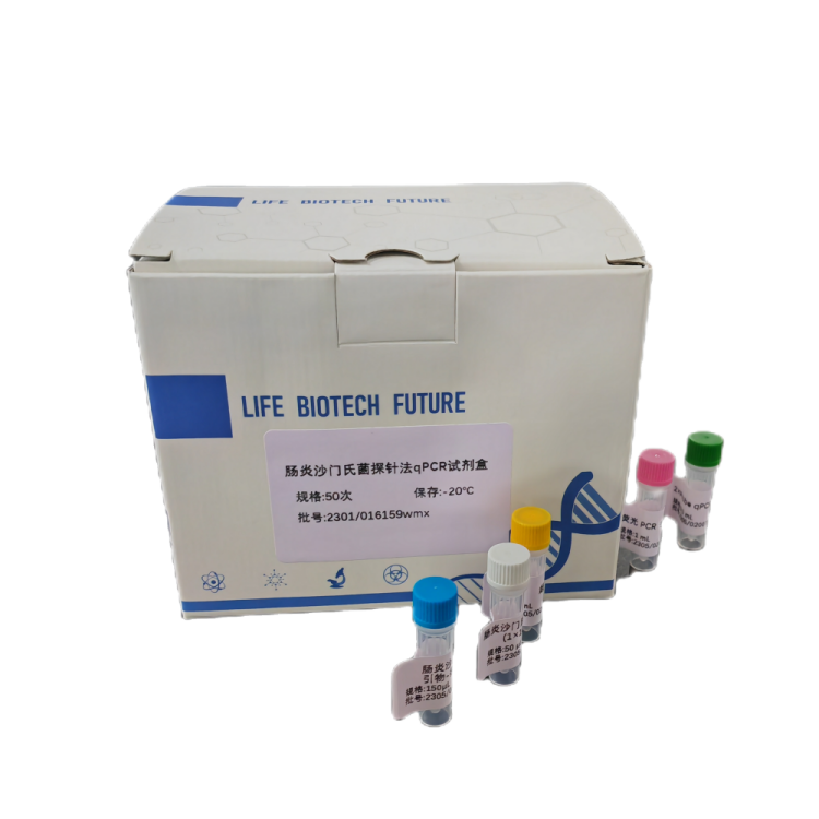Pallidum梅毒螺旋体梅毒亚种探针法荧光定量PCR试剂盒