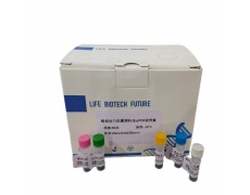 马流感病毒H3N8亚型染料法荧光定量RT-PCR试剂盒