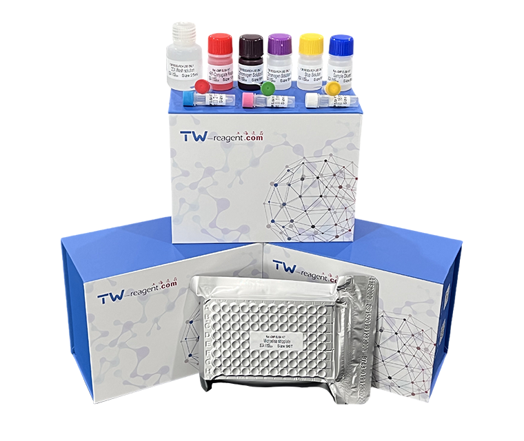 紫苏梗染料法PCR鉴定试剂盒