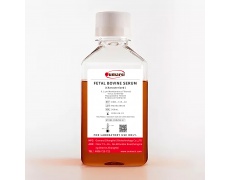 胎牛血清
