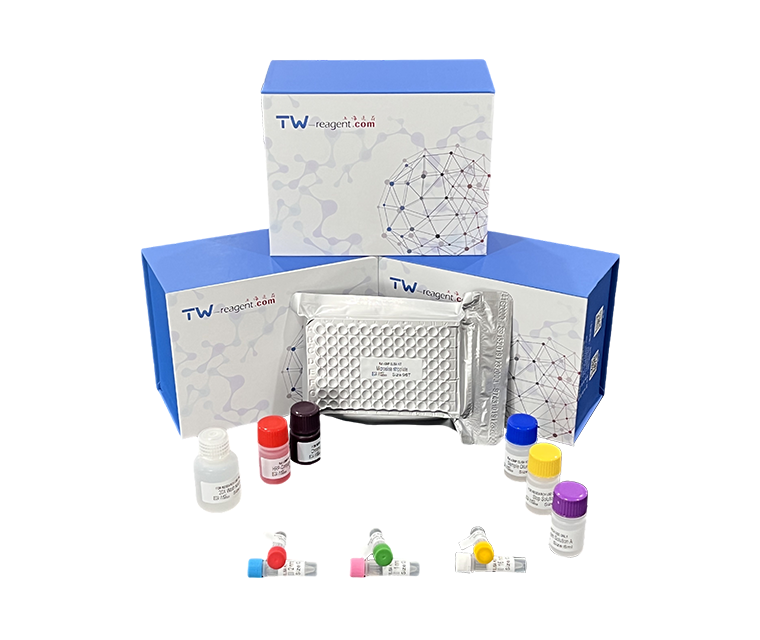 人血管紧张素Ⅱ受体1抗体(ATⅡR1)试剂盒
