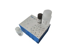 血氯(Cl)含量(硫氰酸汞终点比色法)检测试剂盒分光法/48样