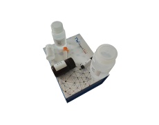 水中铵根离子含量试剂盒微板法/96样