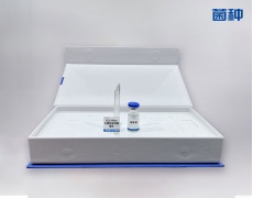 XL2-Blue大肠杆菌克隆菌株