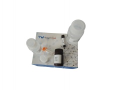 钙检测试剂盒(甲基百里香酚蓝络合铜微板法/96T)