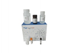 吡哆胺含量检测试剂盒/50T