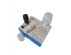 肌酸含量检测试剂盒(酶法)(可见分光光度法/50T)