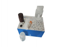 肌酸含量检测试剂盒(可见分光光度法/50T)