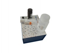 D-乳酸脱氢酶(D-LDH)活性检测试剂盒 (可见分光光度法/50T)