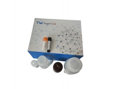 D-乳酸脱氢酶(D-LDH)活性检测试剂盒(微量法/100T)