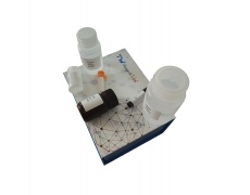 吡哆醛含量检测试剂盒(高效液相色谱法/50T)
