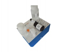 α-甘露糖苷酶(α-man)活性检测试剂盒(可见分光光度法/50T)