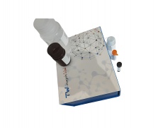 辅酶ⅠNAD(H)含量检测试剂盒(可见分光光度法)(WST显色法/50T)