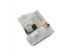 谷氨酸(Glu)含量检测试剂盒(WST显色法)(可见分光光度法/50T)