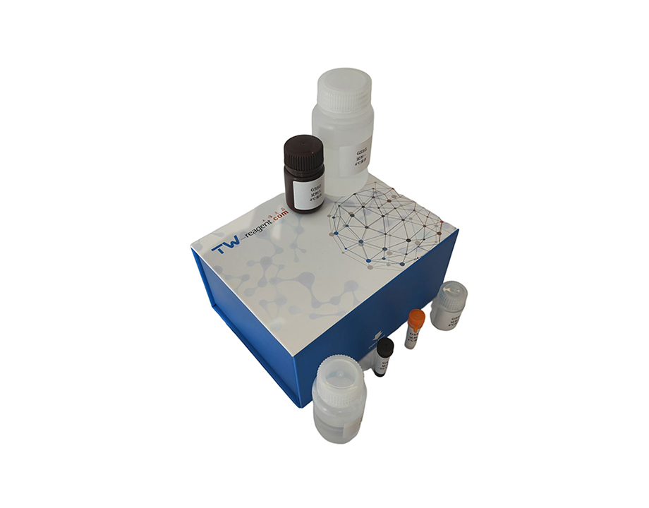 大米加工精度检测试剂盒(品红石碳酸染色法2*100ml/2*500ml)