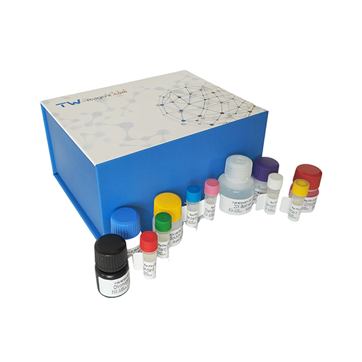 科研人白介素12A（IL-12A)ELISA试剂盒  