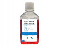 细胞系专用培养基