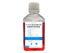 细胞系专用培养基