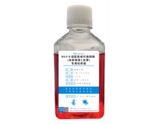 细胞系专用培养基