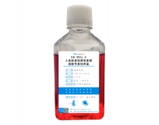 细胞系专用培养基